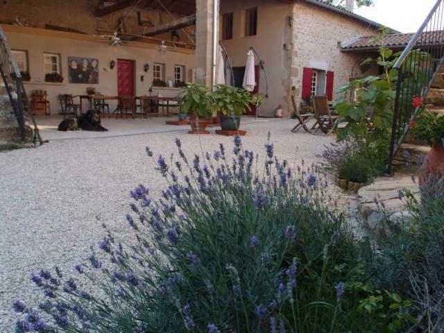 Bed and Breakfast Ferme Robin Marsaz Exterior foto